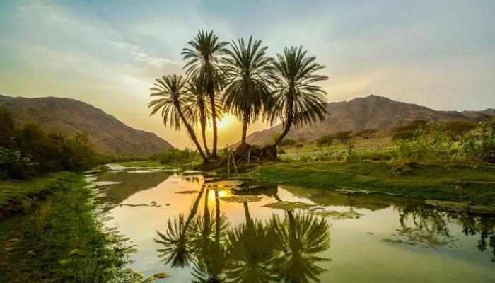 أفضل المحميات الطبيعية في السعودية.. متنزهات وحدائق خلابة (صور)