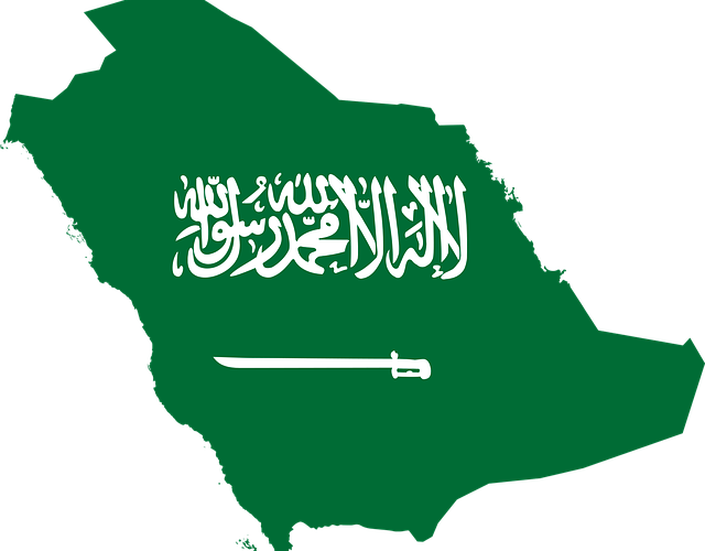 التأشيرة الإلكترونية السعودية لمواطني مصر وبعض الدول