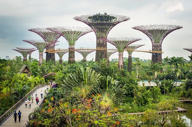 حدائق الخليج أحد أماكن السياحة في سنغافورة