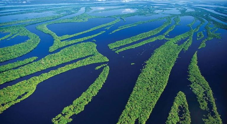 نهر أمازون أحد أطول الأنهار في العالم