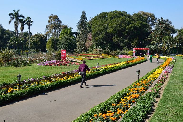 حديقة كولكاتا النباتية أحد أماكن السياحة في كولكاتا