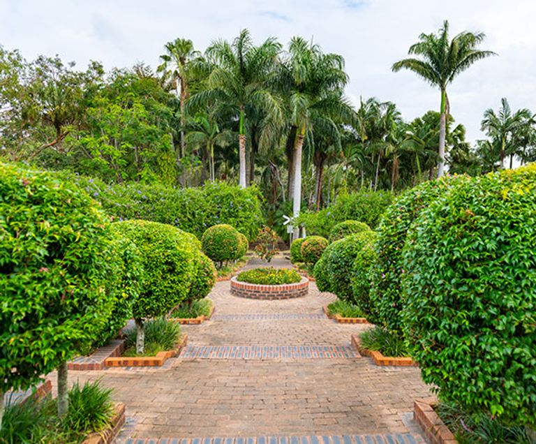  حديقة بوندابيرج النباتية أحد أماكن السياحة في بوندابيرج