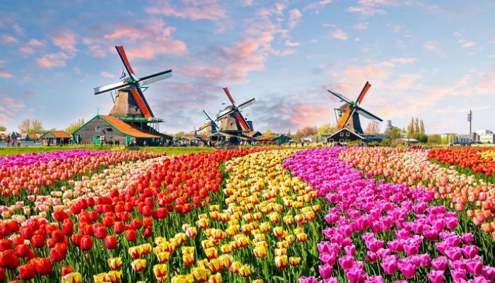 مدن هولندا السياحية.. أجواء كلاسيكية وحياة نابضة