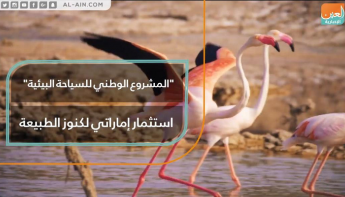 “المشروع الوطني للسياحة البيئية”.. الإمارات تستثمر كنوز الطبيعة