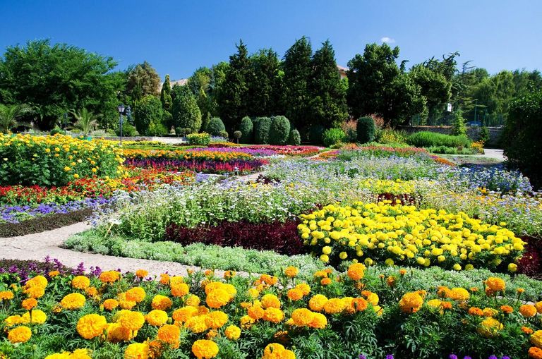 حديقة quot;Jardín Botánicoquot; النباتية أحد أفضل أماكن السياحة في فونشال