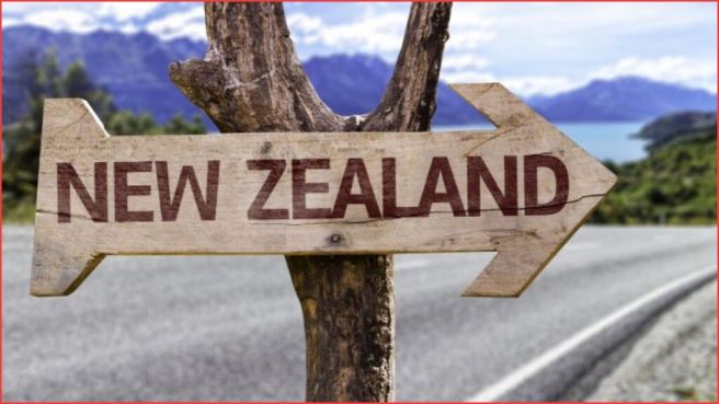 سهم خشبي معلق على شجرة مسجل عليه نيوزيلندا - اللجوء إلى نيوزيلندا 