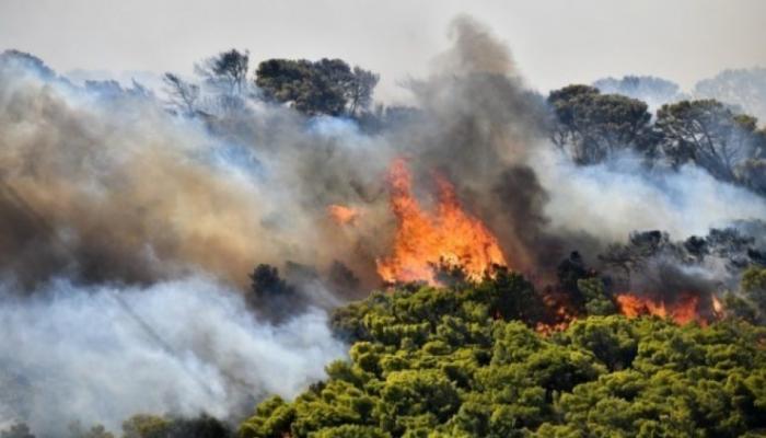 ضحايا حرائق الغابات.. إقامة مجانية لسياح فروا في اليونان