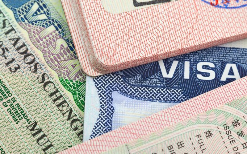 كل ما تريدون معرفته حول التأشيرة السياحية النيوزيلندية من شروط وطريقة تقديم وتكلفة