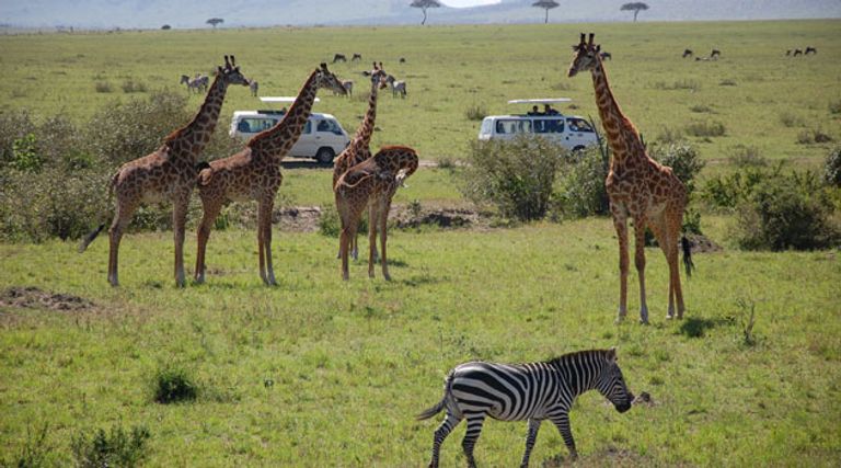 دولة كينيا أحد أفضل الدول السياحية في العالم 2023