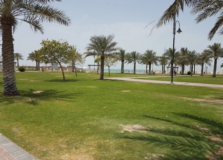  حديقة البديع النباتية أحد أجمل متنزهات البحرين