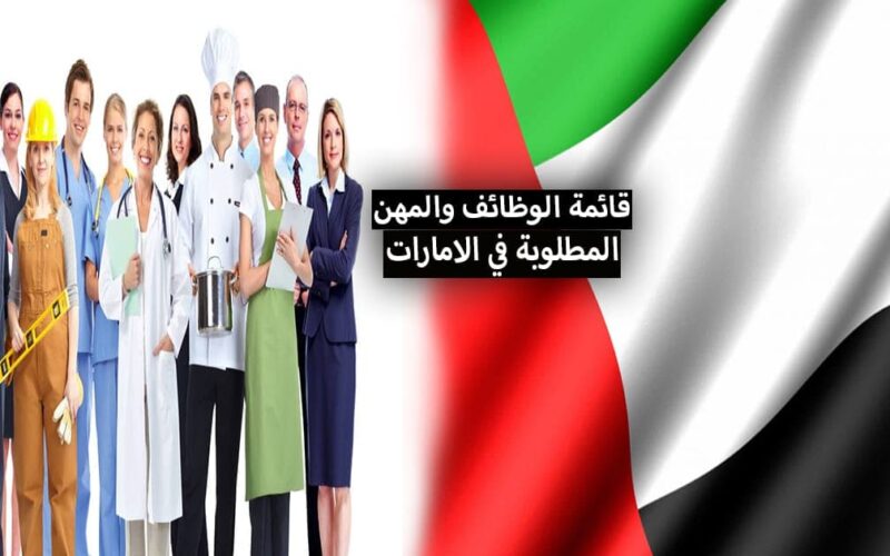 القائمة التفصيلية لأكثر الوظائف المطلوبة في الإمارات العربية المتحدة لعام 2023