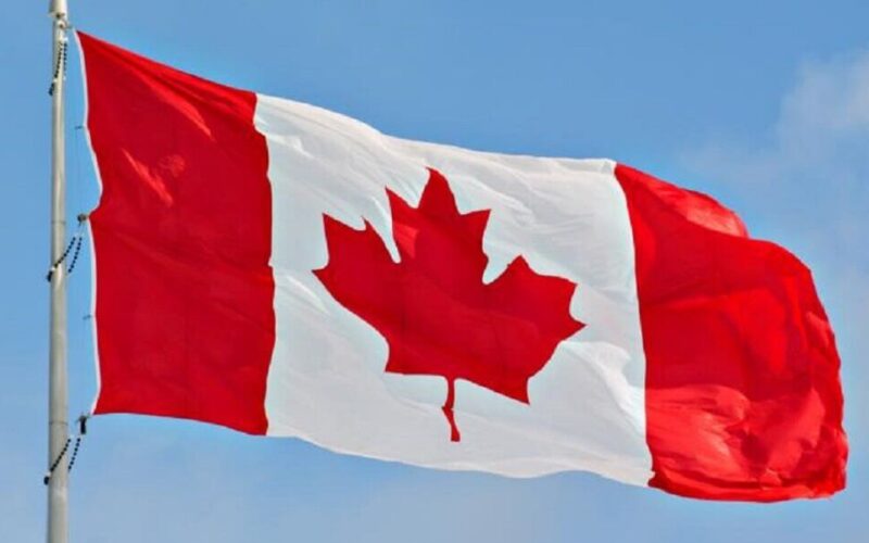 تقديم طلب لجوء إلى كندا عن طريق المنظمات SAH