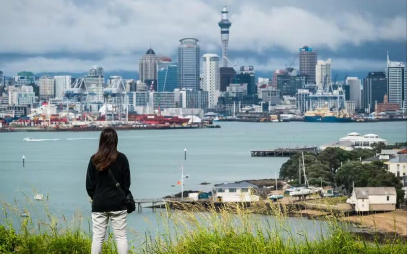 مشاريع صغيرة في نيوزيلندا: مشاريع لا تحتاج لرأس مال في نيوزيلندا